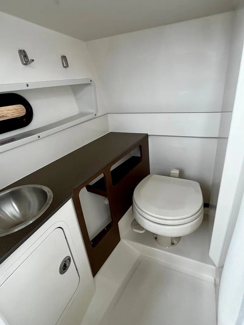 Slide: The Image of Sea Ray 270 SDX OUTBOARD 2024 - 15