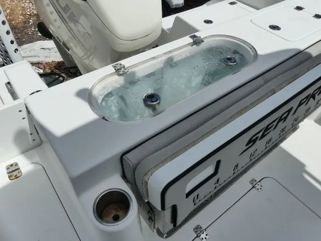Slide: The Image of Sea Pro 239 2019 - 6