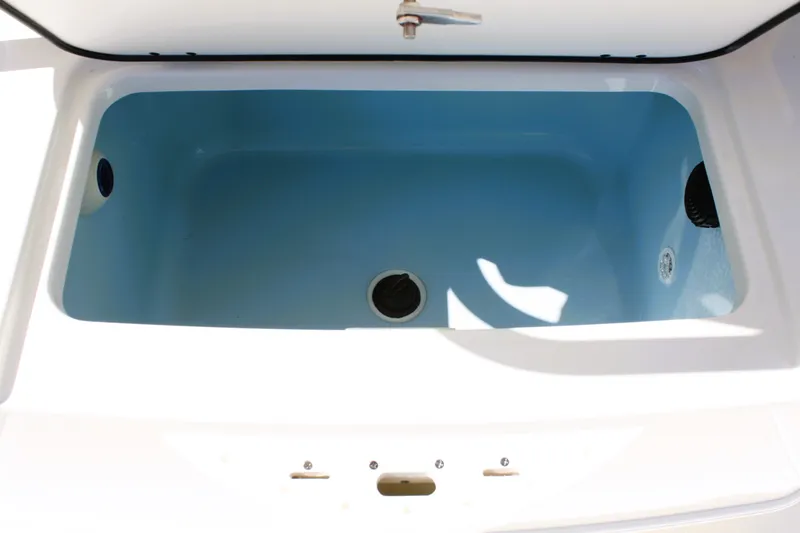 Slide: The Image of Boston Whaler 210 Montauk 2026 - 15