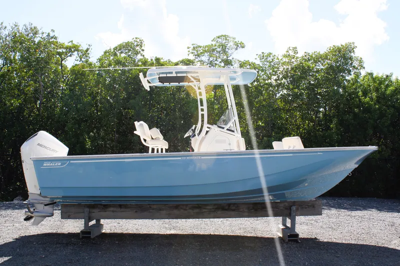 Slide: The Image of Boston Whaler 210 Montauk 2026 - 3