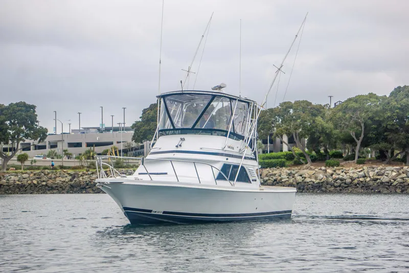 Slide: The Image of Blackfin 33 Convertible 1991 - 2