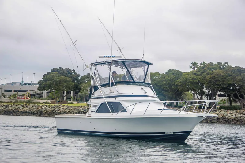 Slide: The Image of Blackfin 33 Convertible 1991 - 24