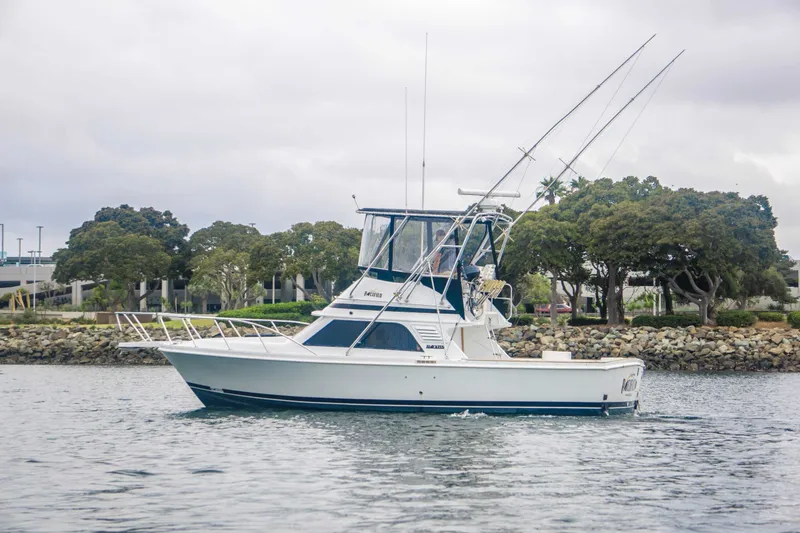 Slide: The Image of Blackfin 33 Convertible 1991 - 1