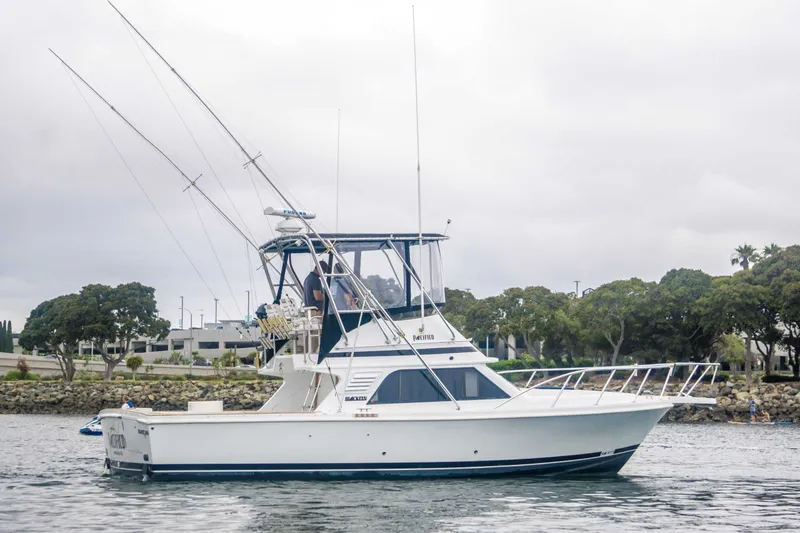 The Image of Blackfin 33 Convertible 1991 - 0