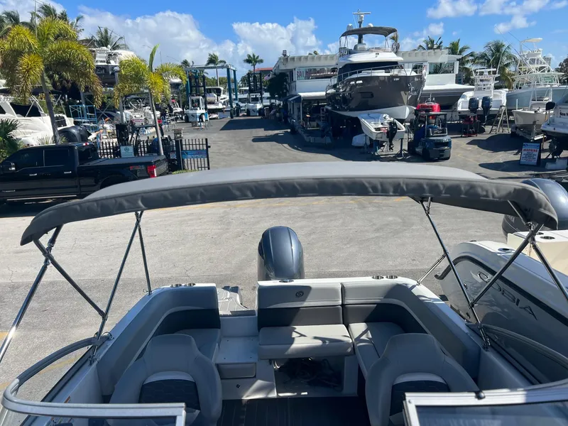 Slide: The Image of Hurricane SD217 2021 - 21