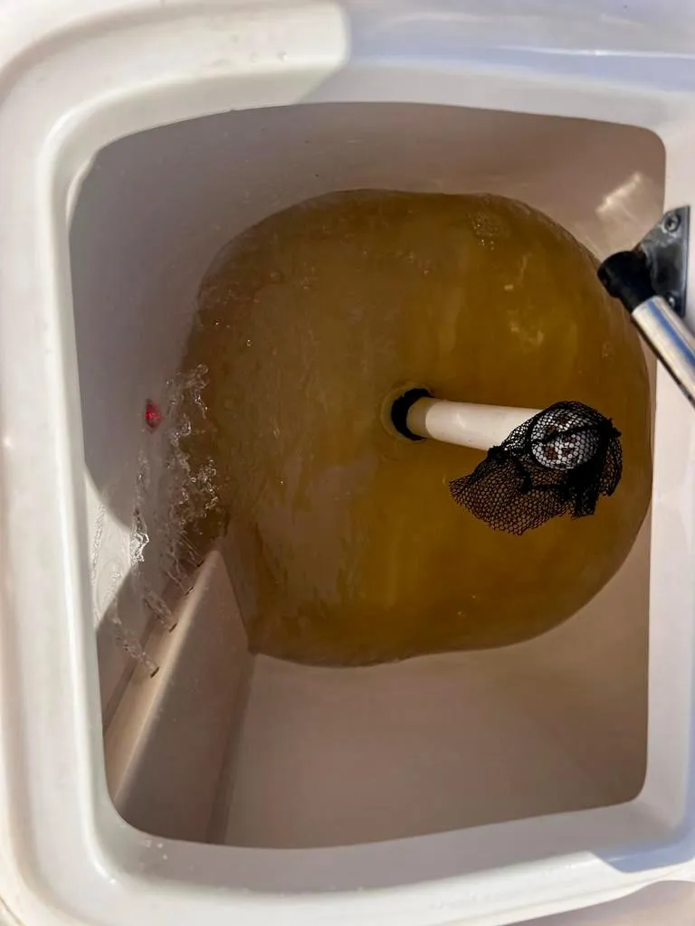 Slide: The Image of Livewell tank in 2005 Grady-White 257 Advance boat. - 38