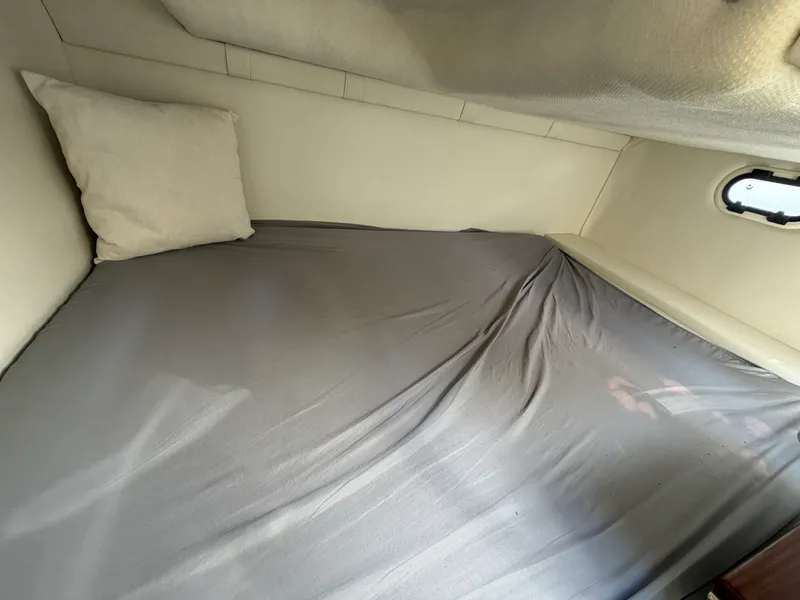 Slide: The Image of Regal 26 XO 2024 - 63