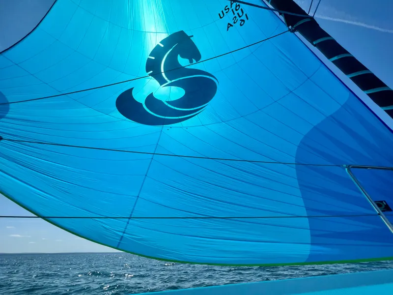 Slide: The Image of Blue sail of 2023 Beneteau First 36 yacht with seahorse logo. - 11