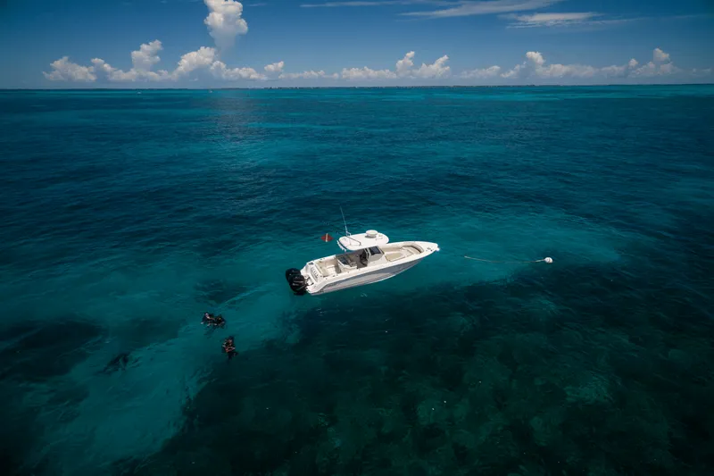 Slide: The Image of Boston Whaler 280 Outrage 2026 - 13