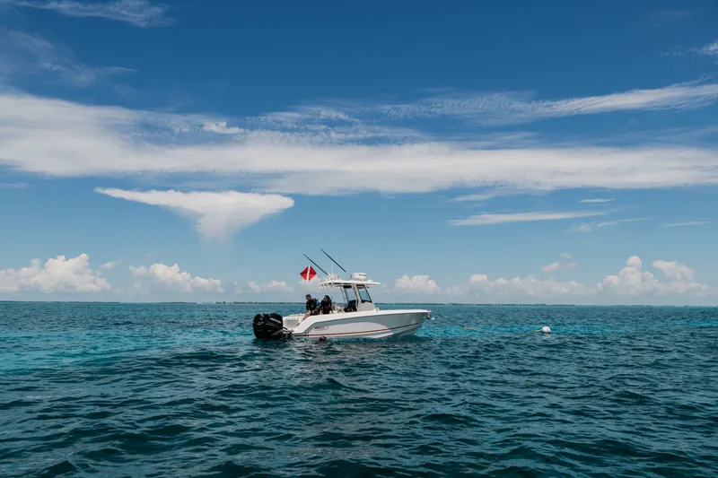 Slide: The Image of Boston Whaler 280 Outrage 2026 - 36