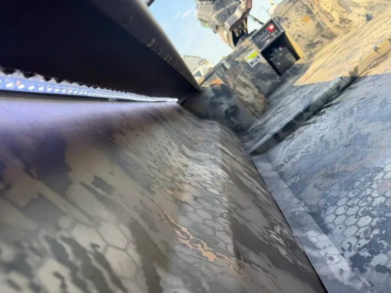 Slide: The Image of Gator-Tail 18/54 2027 - 11