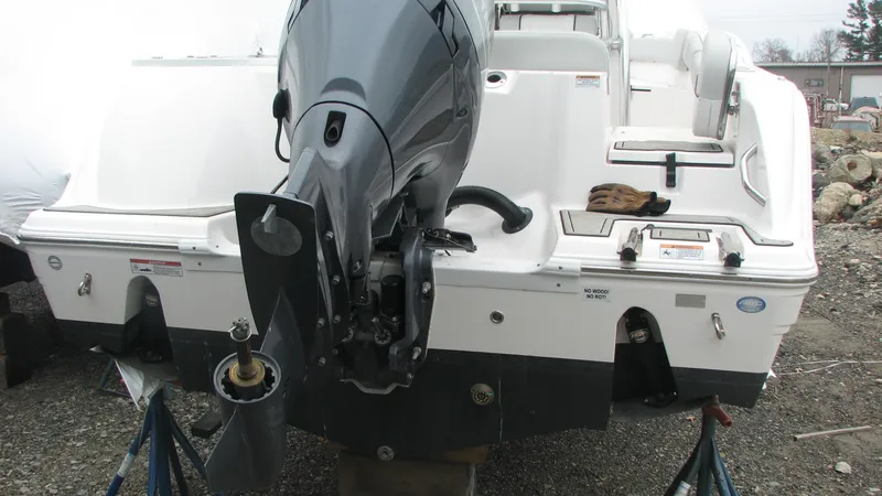 Slide: The Image of Stern - 4