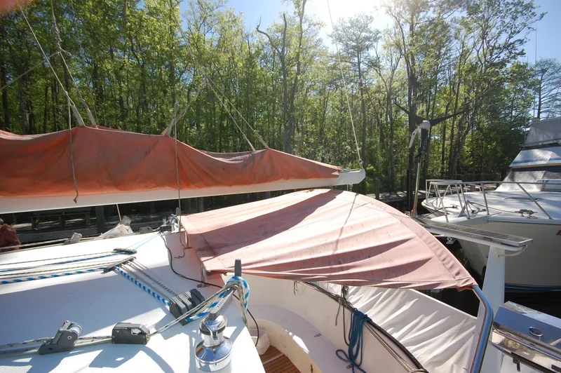 Slide: The Image of 1999 Wildcat 35 Catamaran with sails covered, docked in a marina surrounded by trees. - 22