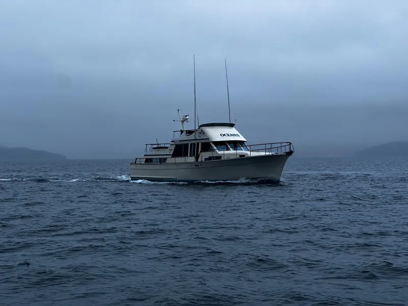 Slide: The Image of 1981 Tollycraft 48 Motor Yacht cruising on a misty, open sea. - 31