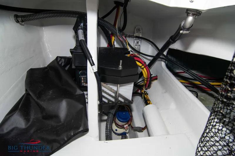 Slide: The Image of Fountain 34 Thundercat 2025 - 55