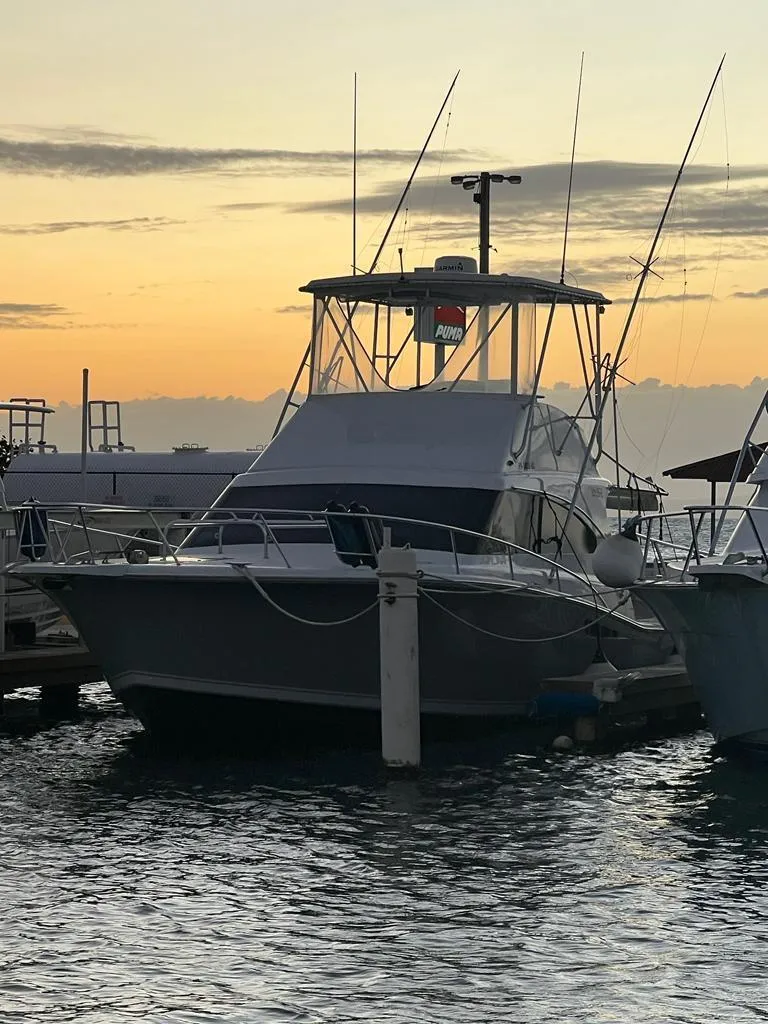 The Image of 1994 Luhrs 380 Tournament boat docked at sunset with fishing rods. - 0
