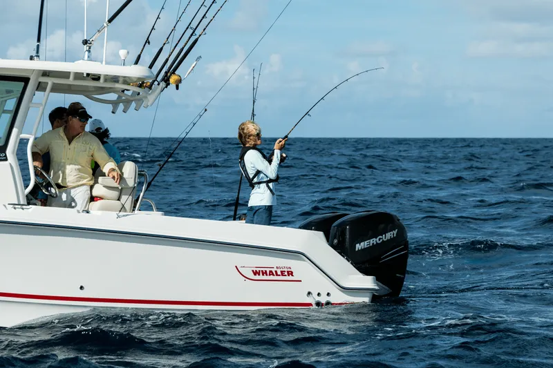 Slide: The Image of Boston Whaler 250 Outrage 2027 - 27