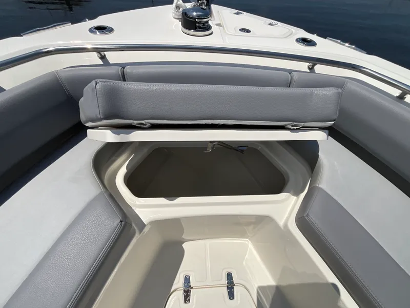 Slide: The Image of Boston Whaler 250 Outrage 2027 - 16