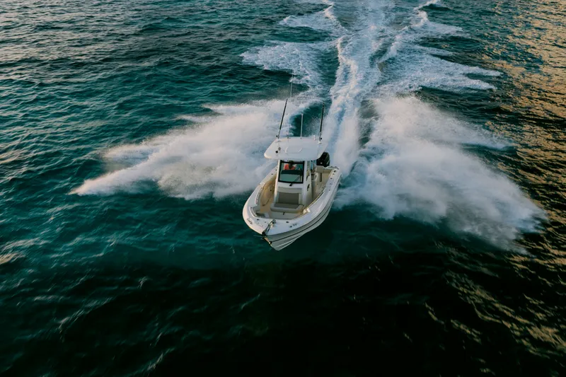 Slide: The Image of Boston Whaler 250 Outrage 2027 - 49