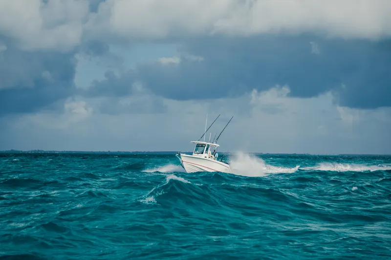Slide: The Image of Boston Whaler 250 Outrage 2027 - 21
