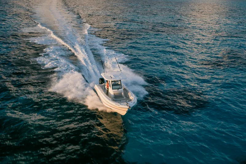 Slide: The Image of Boston Whaler 250 Outrage 2027 - 54