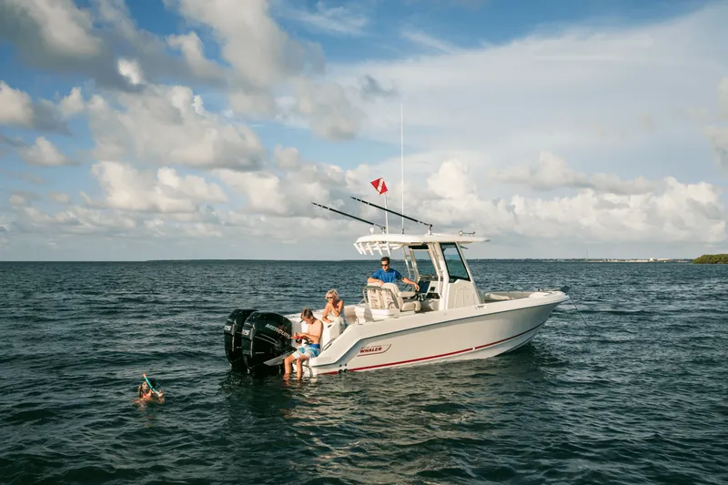 Slide: The Image of Boston Whaler 250 Outrage 2027 - 61