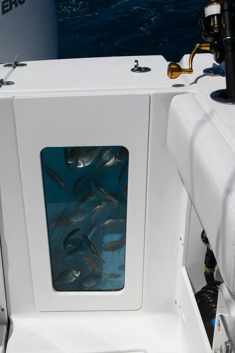 Slide: The Image of Live bait tank on 2026 Blackfin 302 CC boat, filled with fish. - 15