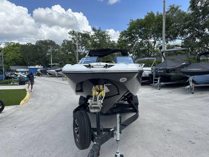 Slide: The Image of Scarab 255 ID 2023 - 4