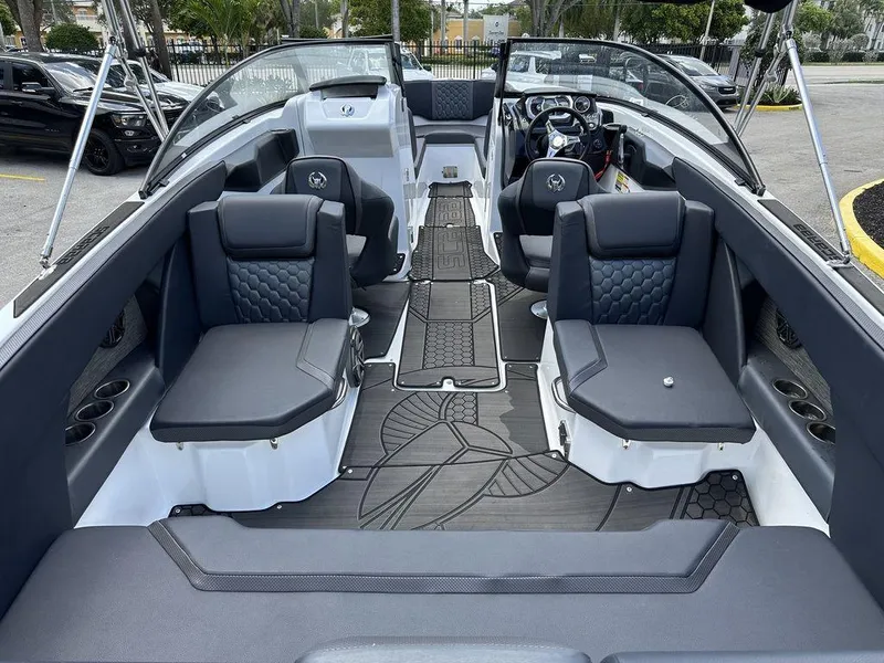 Slide: The Image of Scarab 255 ID 2023 - 5