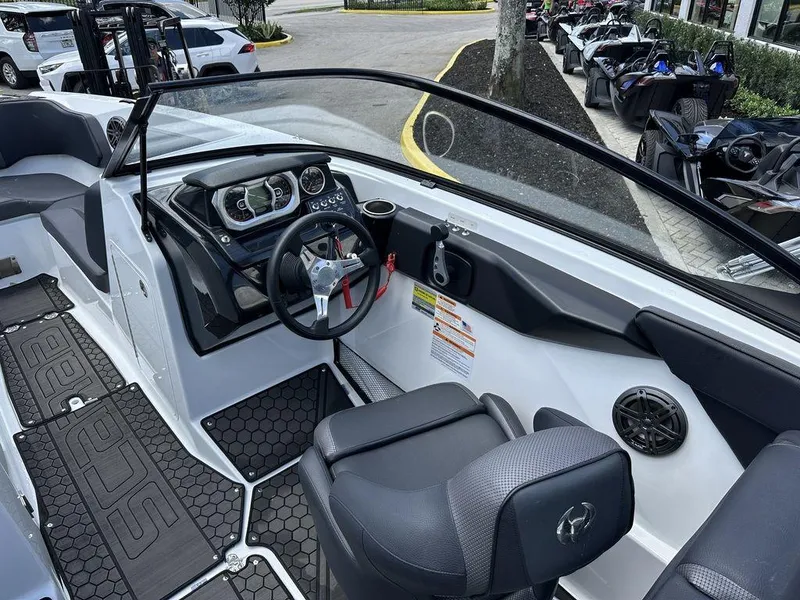 Slide: The Image of Scarab 255 ID 2023 - 7