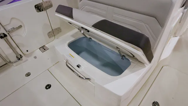 Slide: The Image of Boston Whaler 290 Outrage  2027 - 8