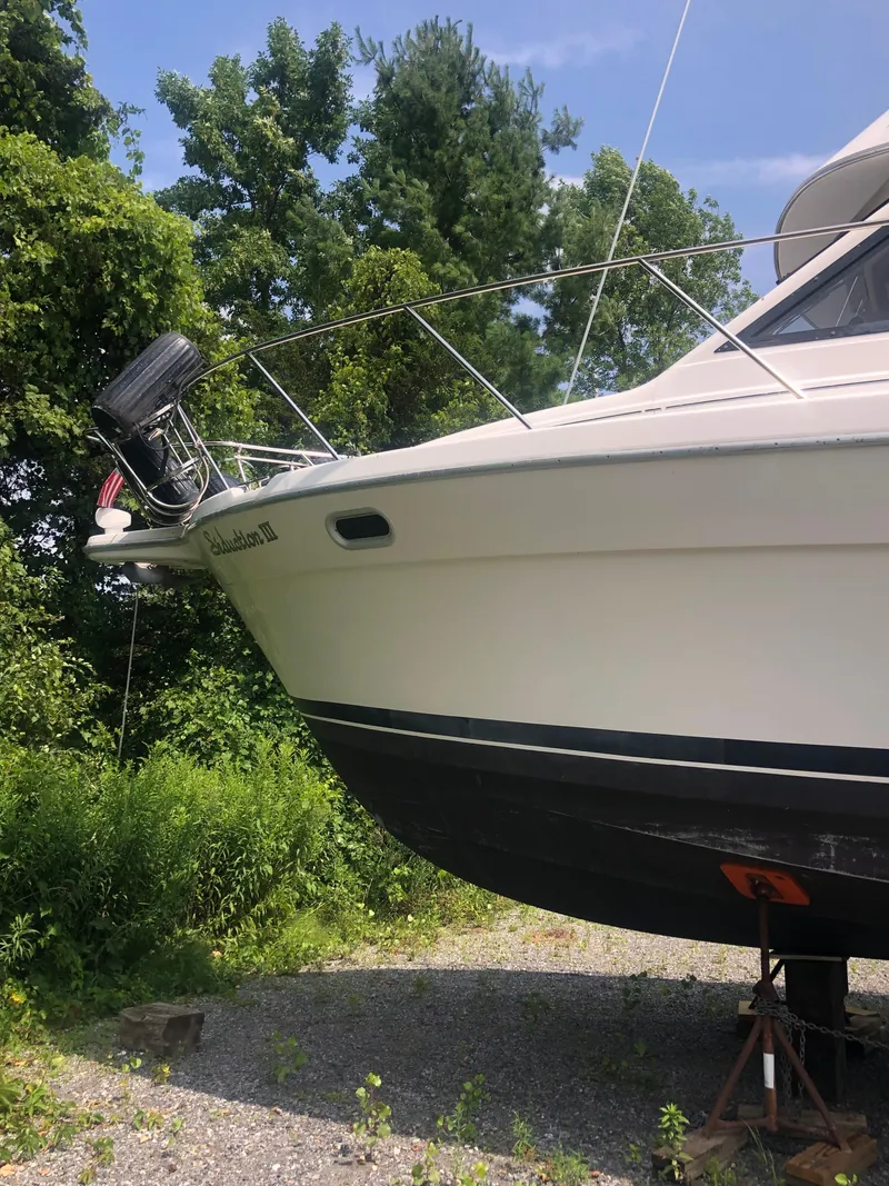 Slide: The Image of 1996 Bayliner 3587 Motoryacht on land, surrounded by greenery and trees. - 3