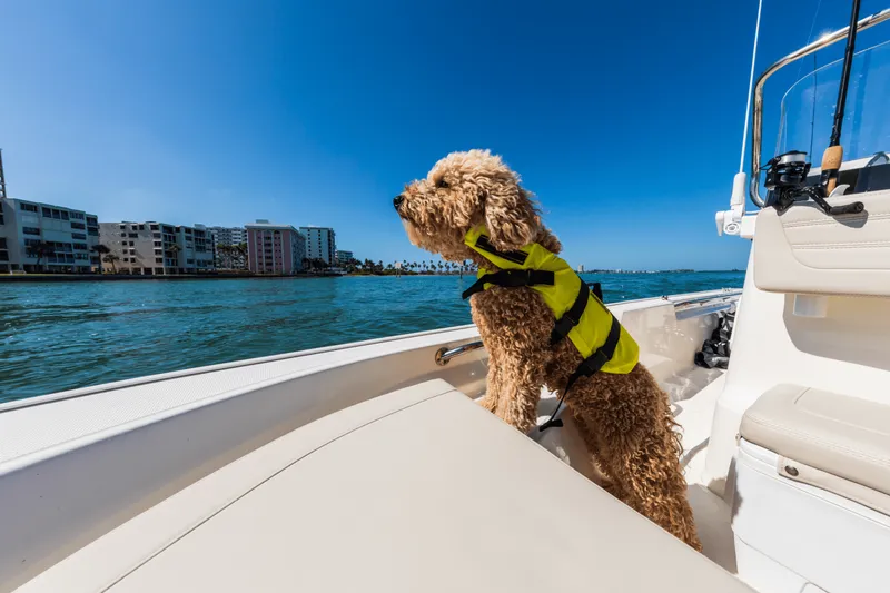 Slide: The Image of Boston Whaler 150 Montauk 2027 - 15