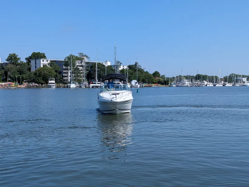 The Image of Sea Ray 240 SUNDANCER 2007 - 0