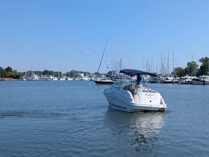 Slide: The Image of Sea Ray 240 SUNDANCER 2007 - 10
