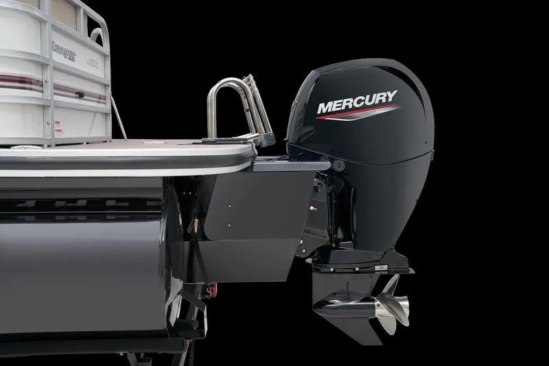 Slide: The Image of Ranger Reata 223C - 31