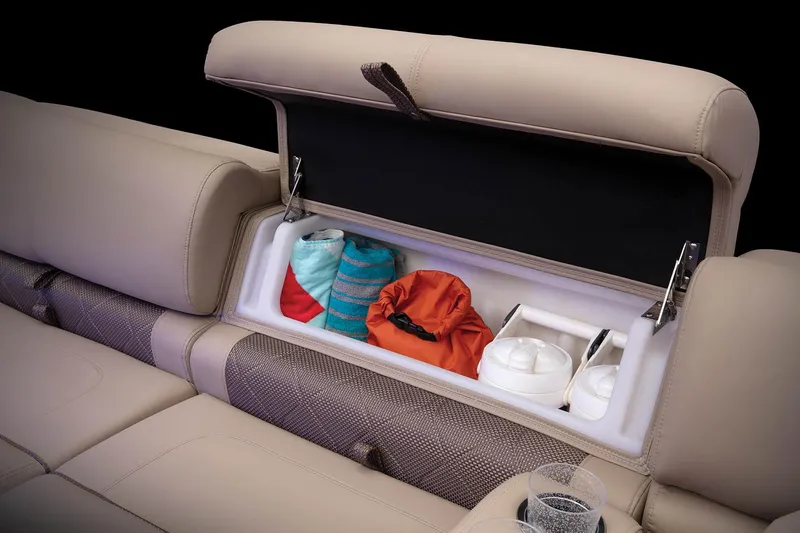 Slide: The Image of Regency 250 LE3 - 22