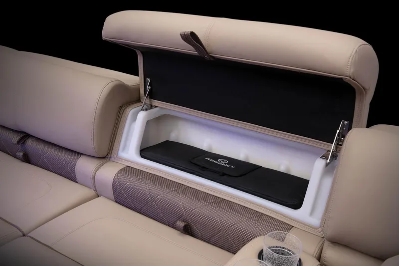 Slide: The Image of Regency 250 LE3 - 24