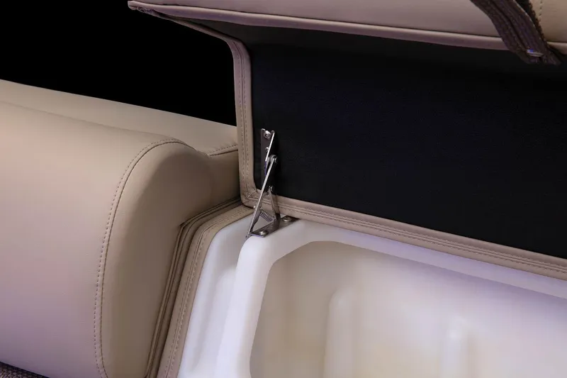 Slide: The Image of Regency 250 LE3 - 25