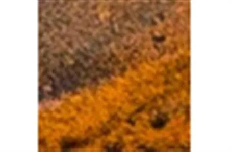 Slide: The Image of Old Town Sportsman BigWater 132 2023 - 7