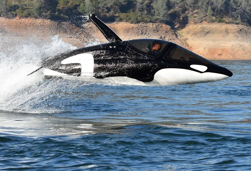 Slide: The Image of Seabreacher Model Z Killer Whale "Eclipse Tide" 2019 - 7