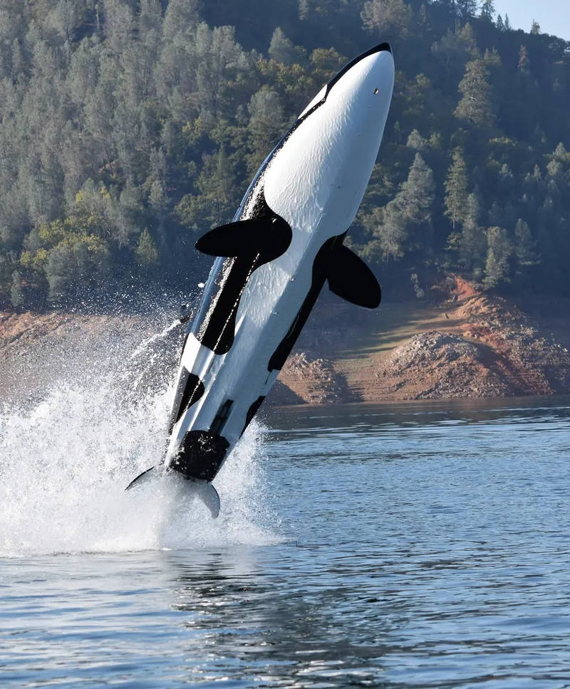 Slide: The Image of Seabreacher Model Z Killer Whale "Eclipse Tide" 2019 - 2