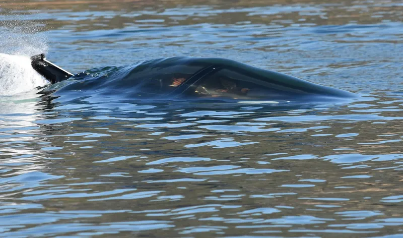 Slide: The Image of Seabreacher Model Z Killer Whale "Eclipse Tide" 2019 - 1