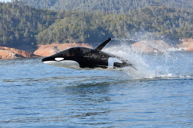 Slide: The Image of Seabreacher Model Z Killer Whale "Eclipse Tide" 2019 - 9