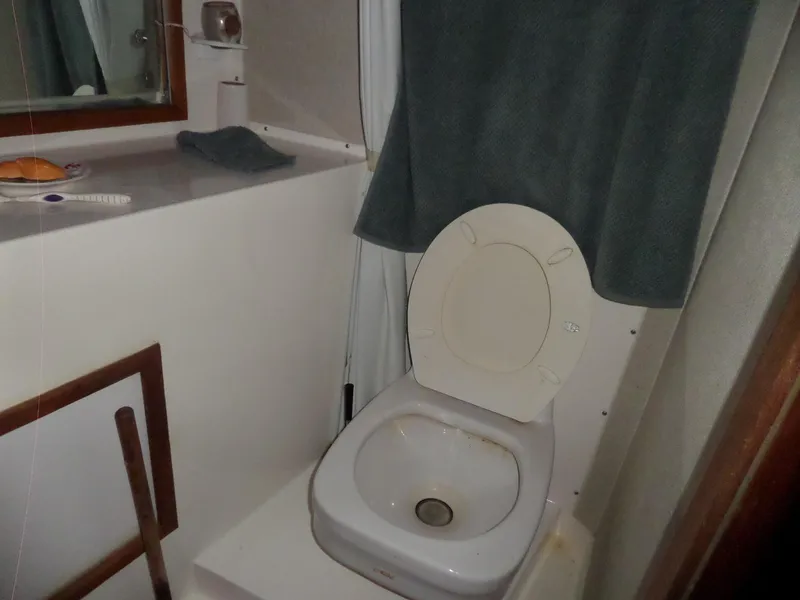 Slide: The Image of 1978 Bertram 42 Flybridge Motor Yacht bathroom with toilet and sink. - 29