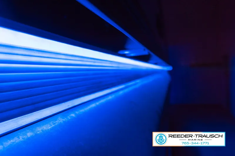 Slide: The Image of Avalon Waketoon 2023 - 72