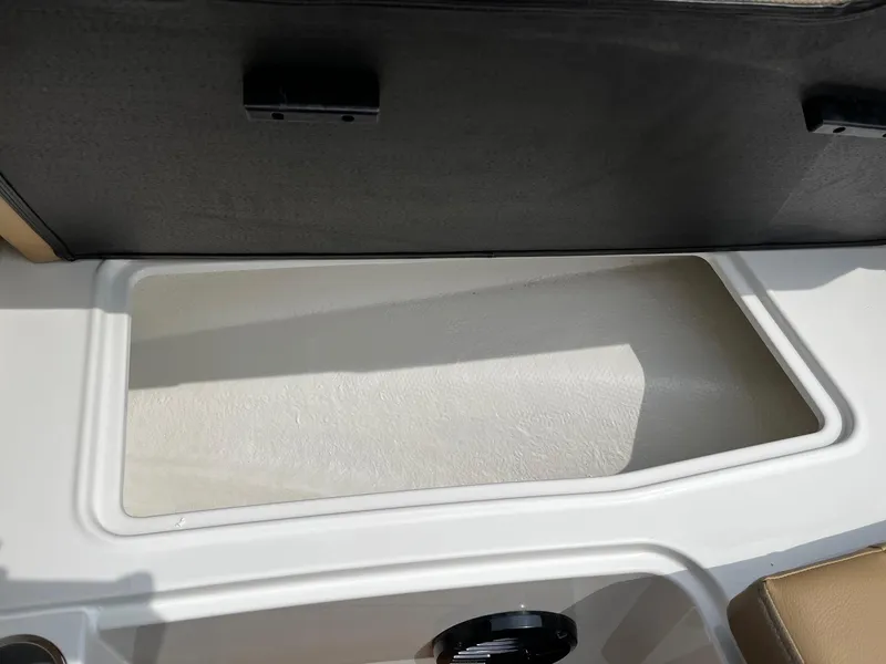 Slide: The Image of 2024 Bayliner DX2000 storage compartment detail - 18