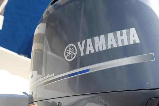 Slide: The Image of Cobia 21 Bay 2020 - 11