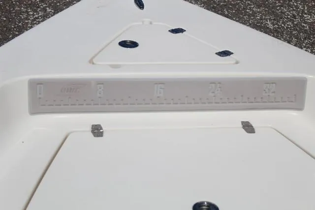 Slide: The Image of Cobia 21 Bay 2020 - 13