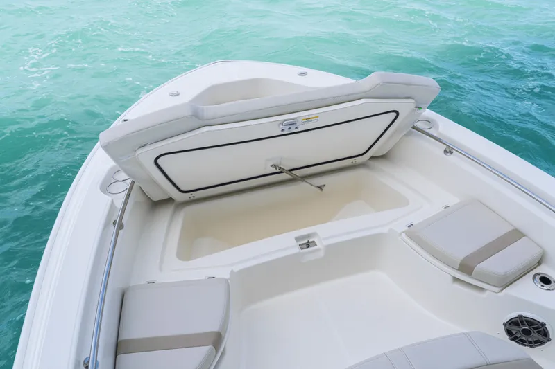 Slide: The Image of Boston Whaler 250 Dauntless 2027 - 50